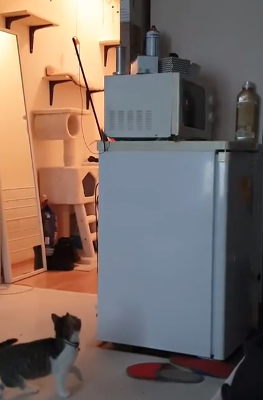 A little_help.png